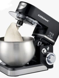 همزن حرفه ای گاسونیک مدل 905